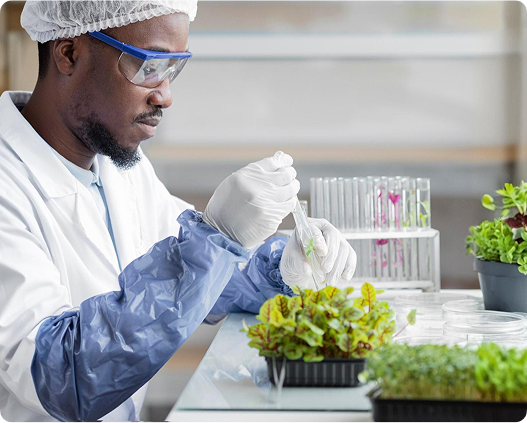 Food safety professional in protective gear examining plants