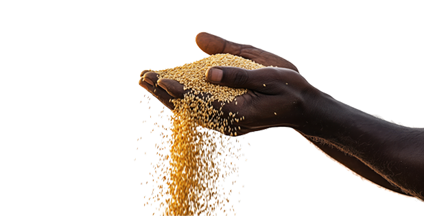 Pouring Grains